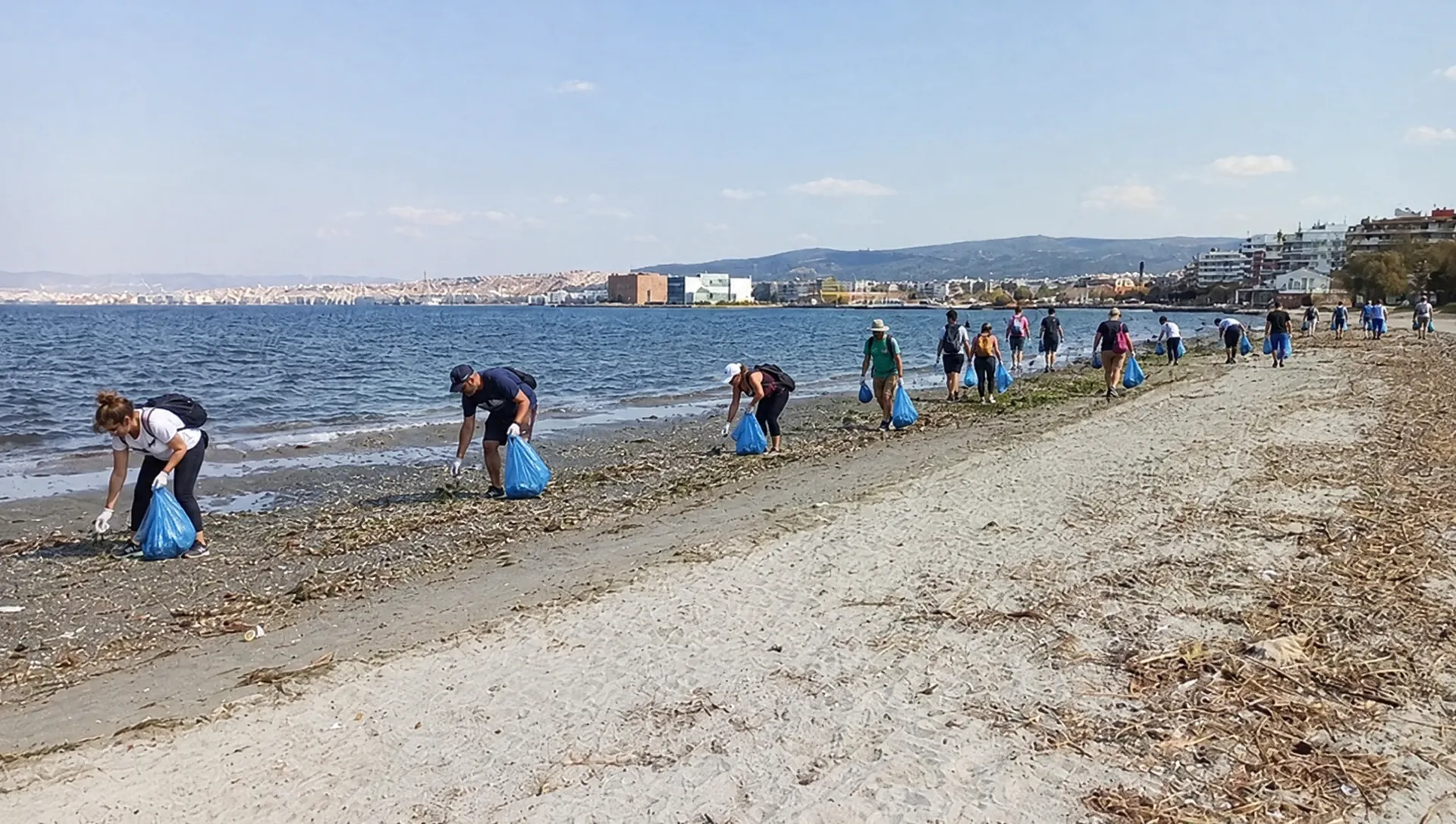 Σειρά εθελοντών με σακούλες κατά μήκος της ακτής